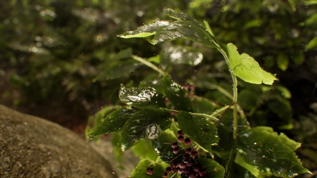 Animated Rain – Waterdrop Material & FX<div class="post-tags single-post-tags"><span class="custom-tag">Engine Version: 5.0+</span></div>