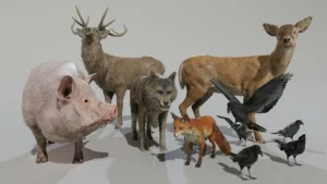 ANIMAL VARIETY PACK