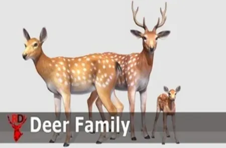 Deer Family<div class="post-tags single-post-tags"><span class="custom-tag">Engine Version: 5.1+</span></div>