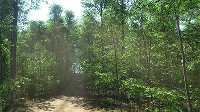 Nature Package – Forest Environment<div class="post-tags single-post-tags"><span class="custom-tag">Original Unity version: 2021.3.38</span><span class="asset-version-tag">Asset Version: 1.9</span></div>