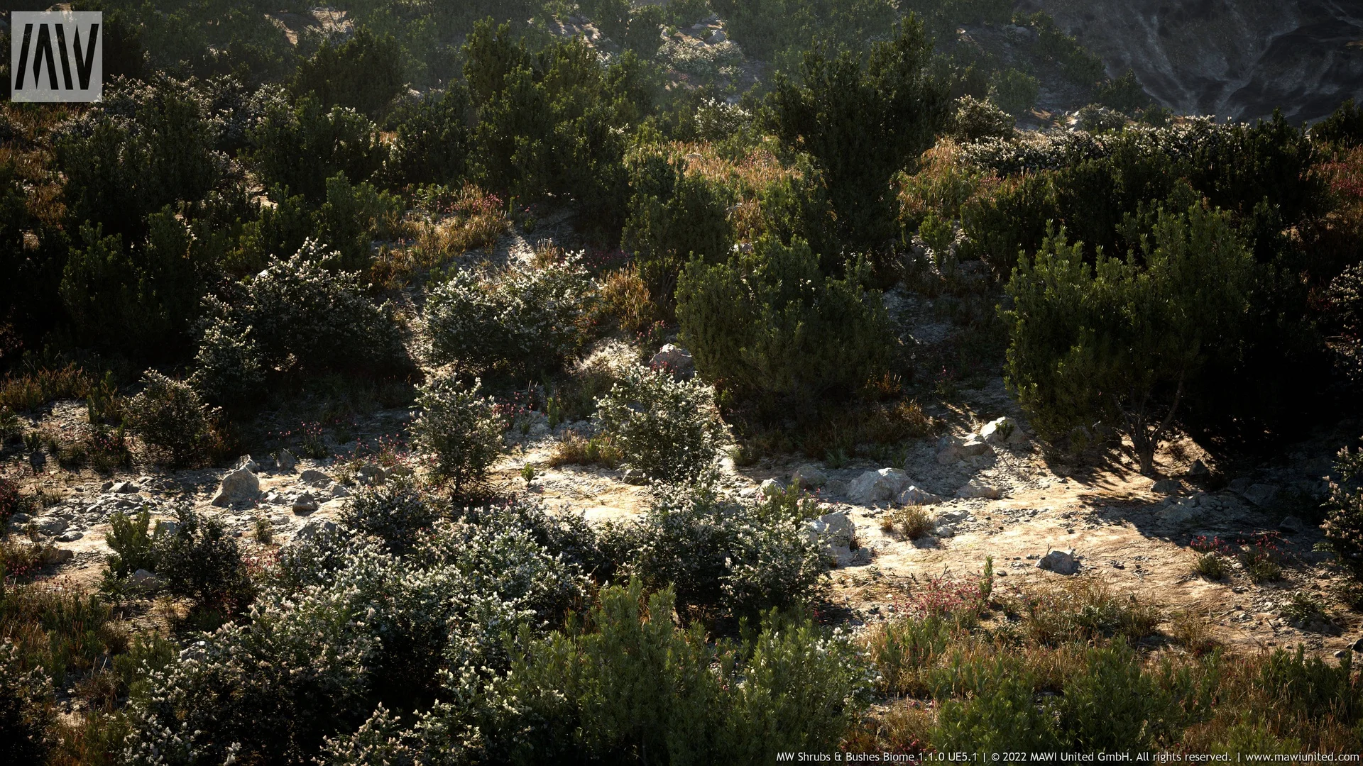 MW Shrubs & Bushes Biome asset