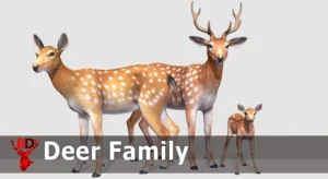Deer Family