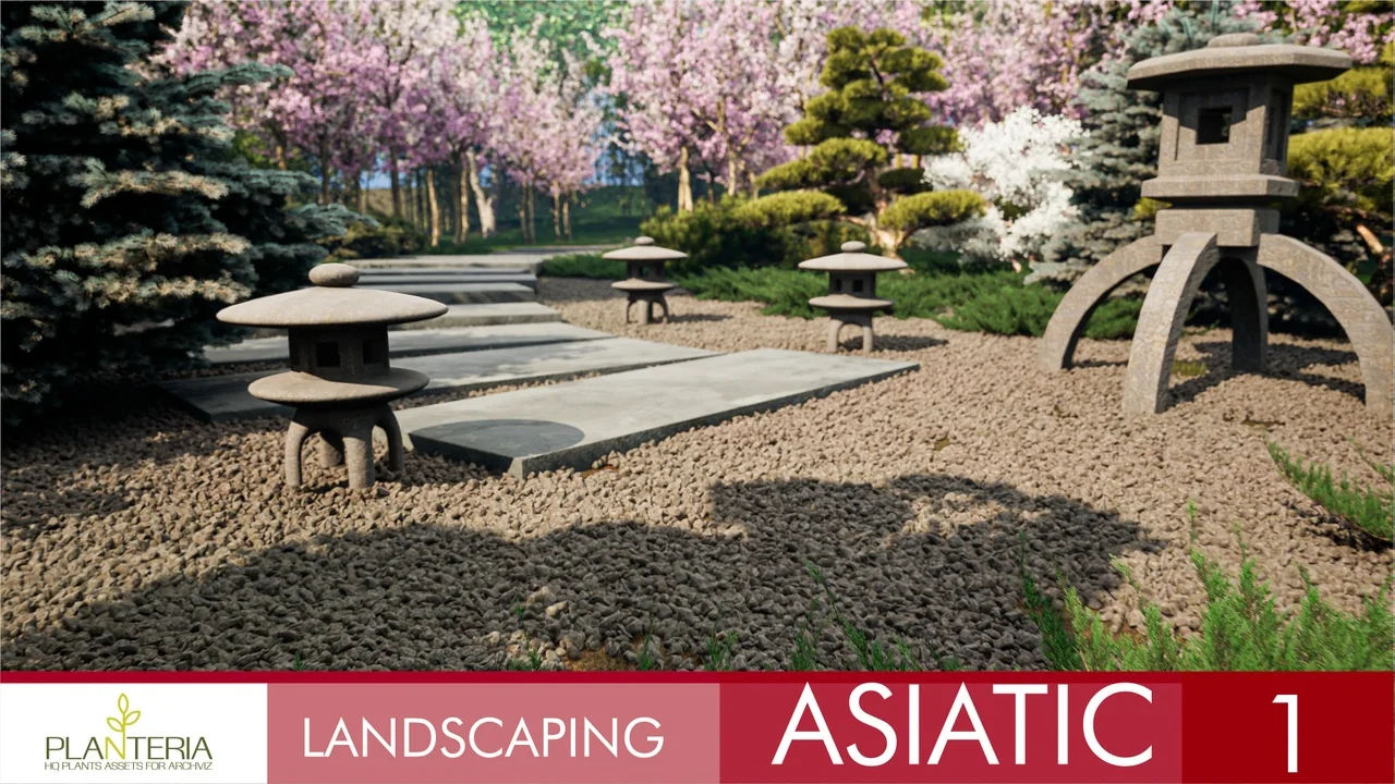 Landscaping Asiatic 1 asset