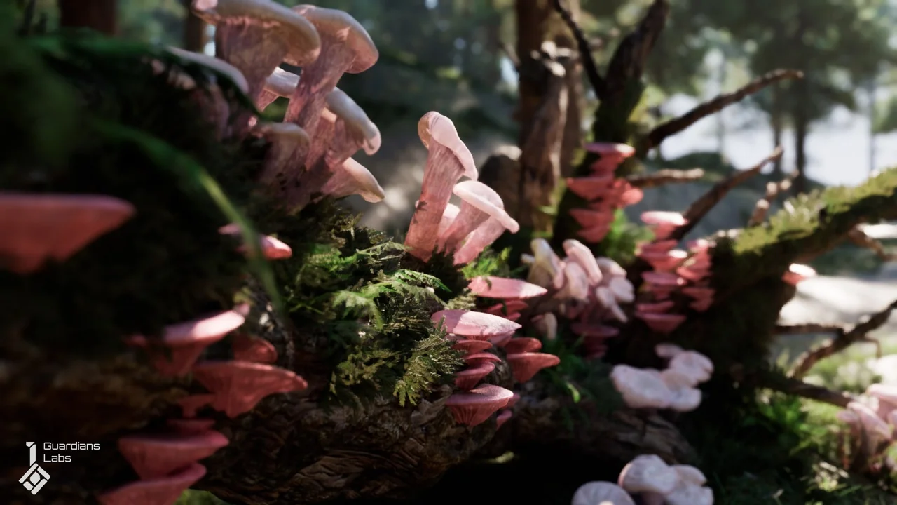 Forest Fungi – Mushroom Pack asset