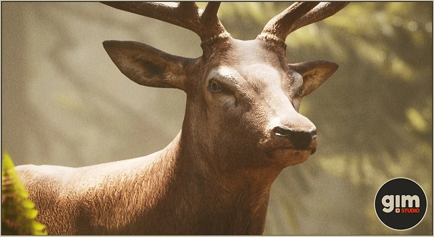 Animalia - Red Deer (male)