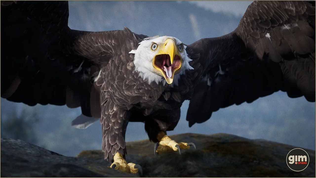 Animalia – Bald and Golden Eagle asset