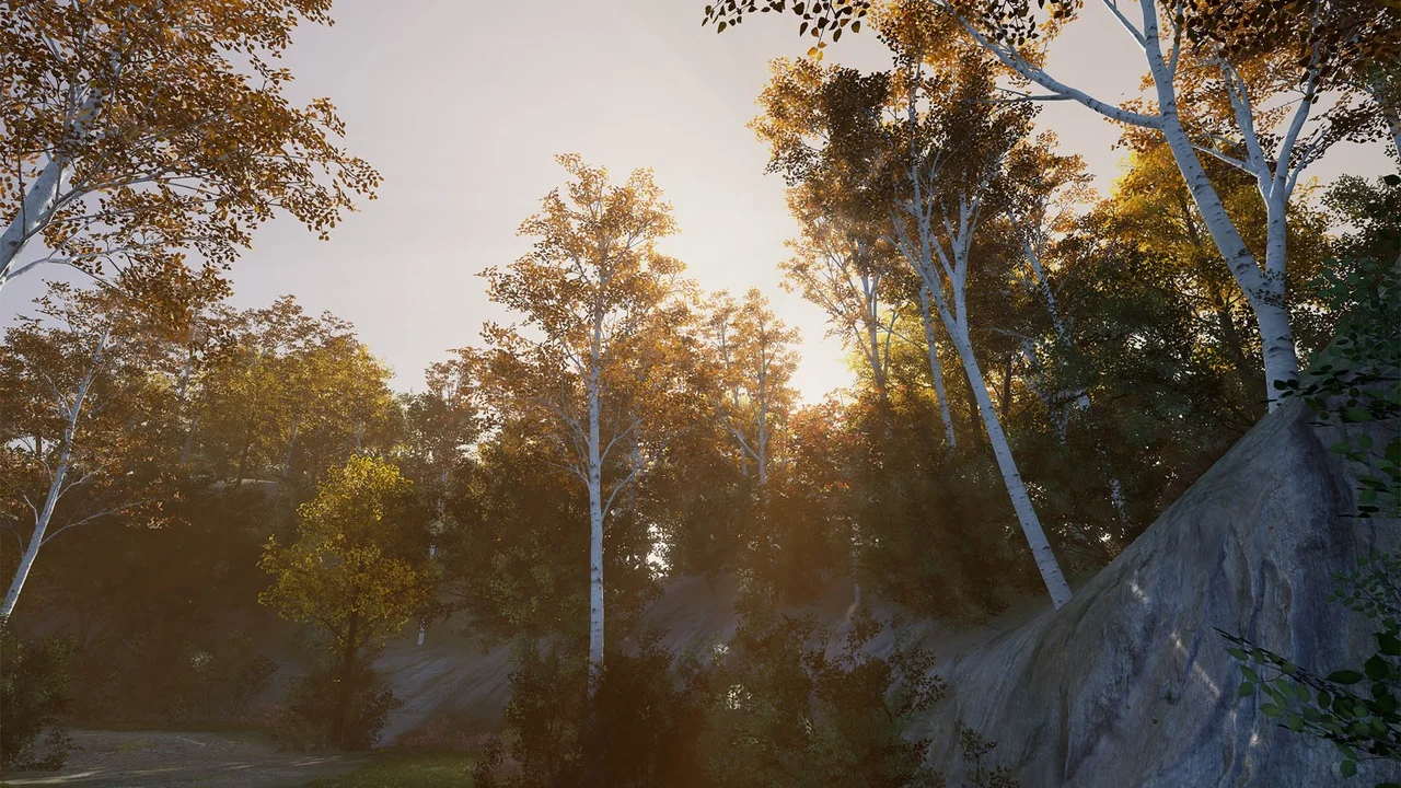 XBH TREE Vol. 1 asset