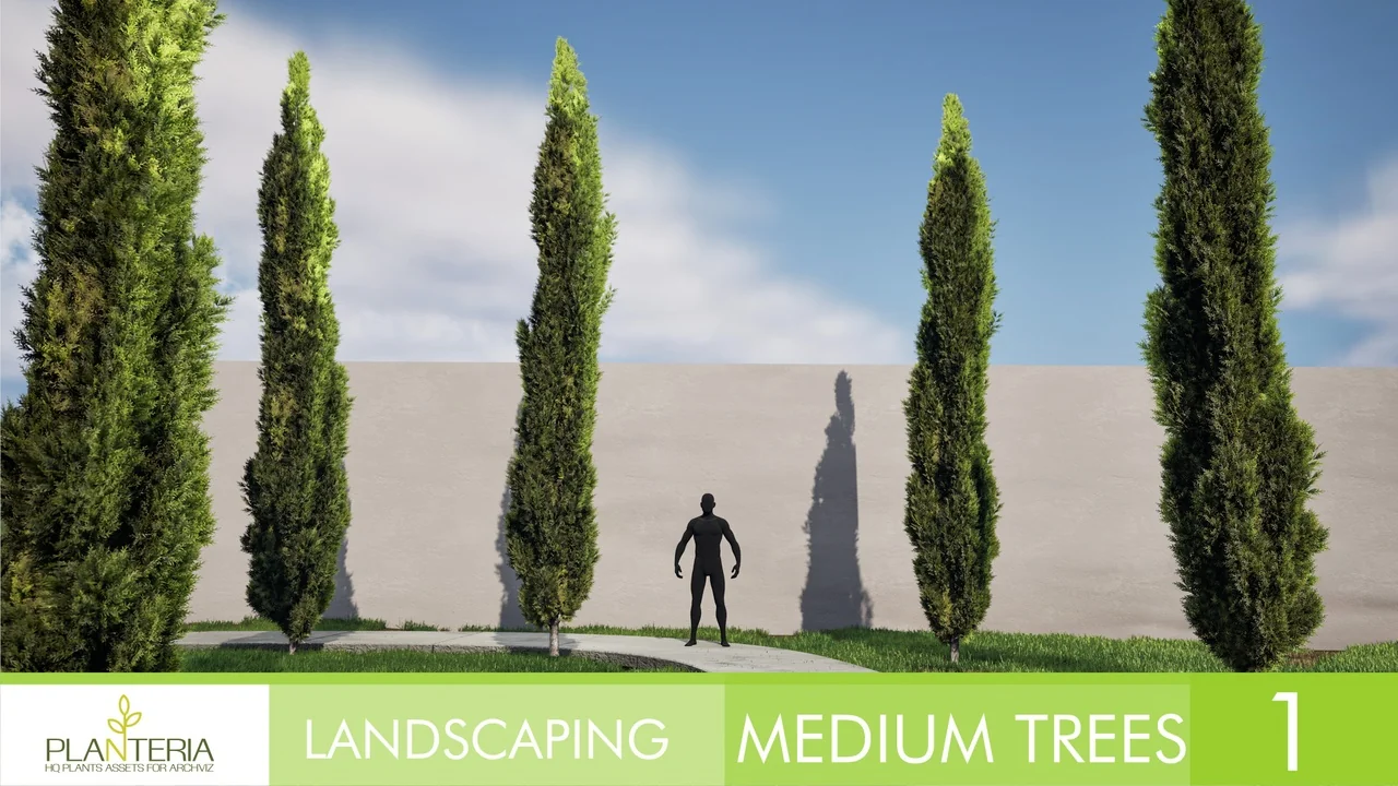 Landscaping Medium Trees Vol. 1 asset