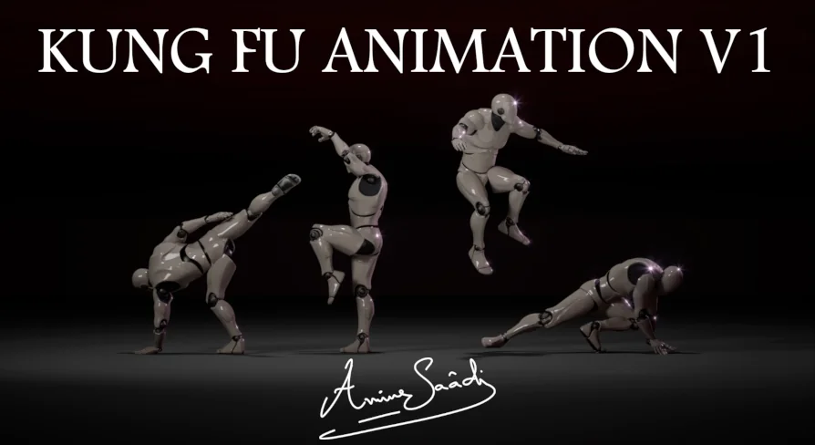 Combat animations - Kung fu V1