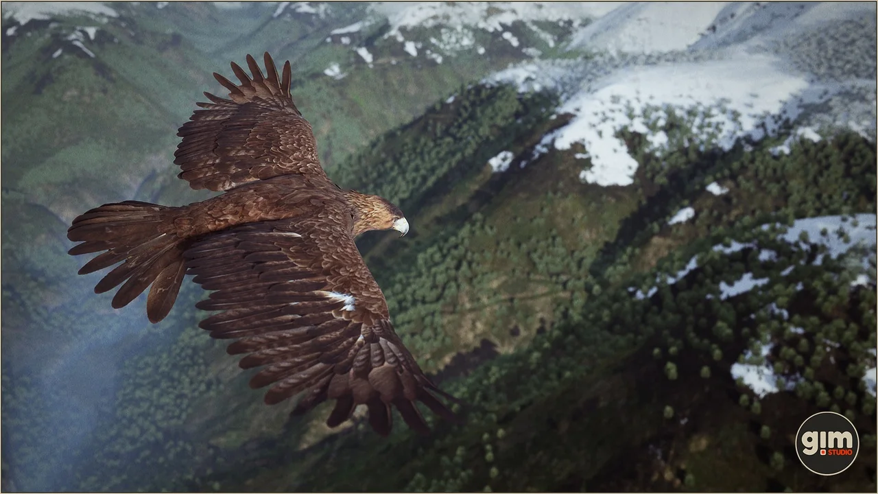 Animalia – Bald and Golden Eagle asset