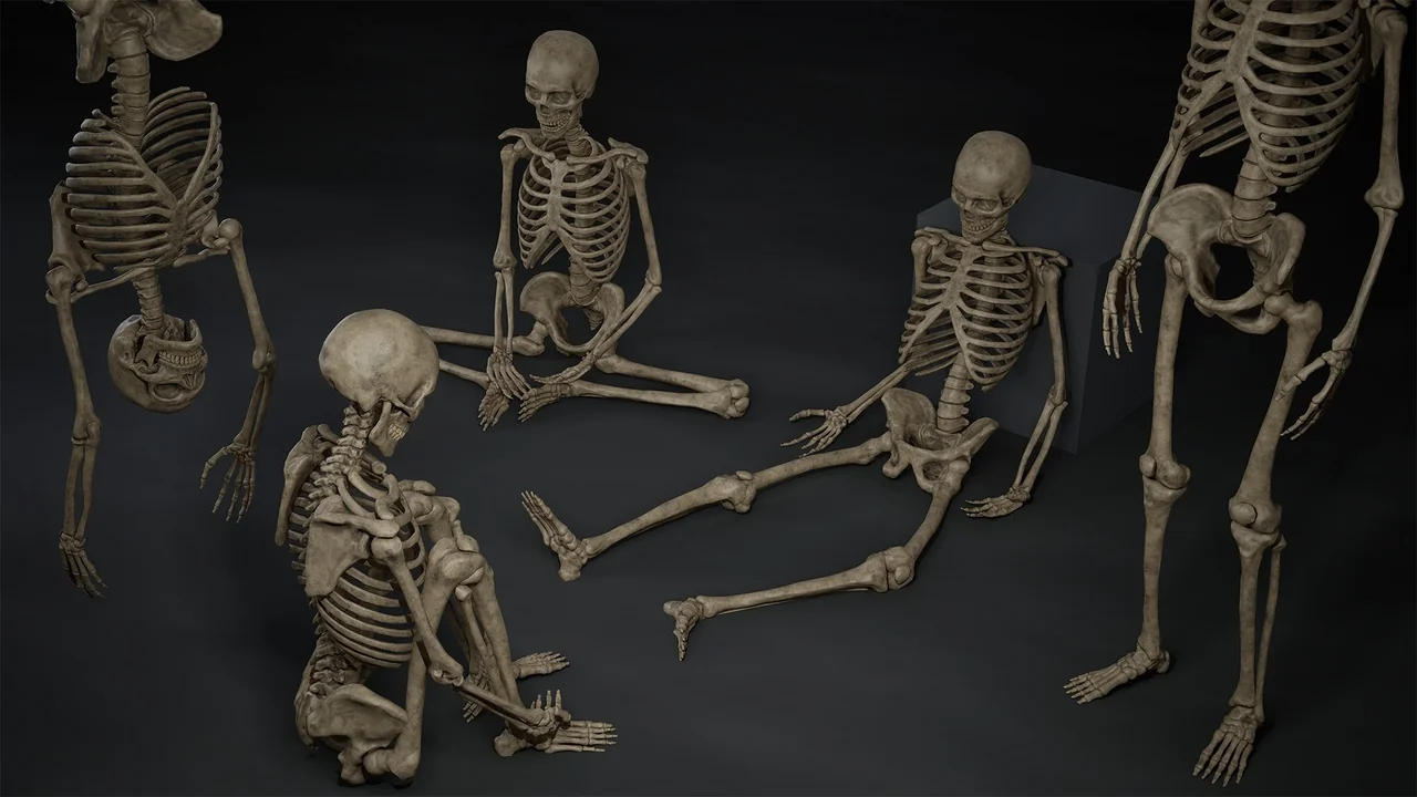 Skeleton Bones asset