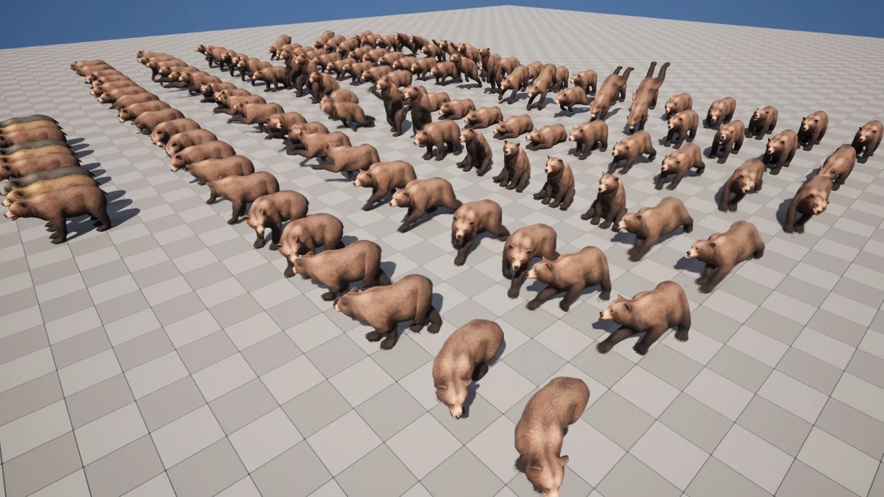 Bear – Female asset