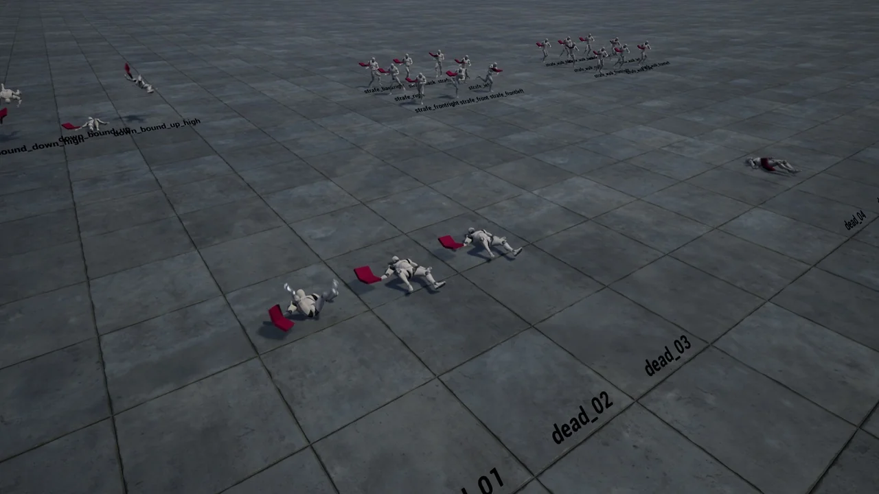 Script Wizard Anim Set asset