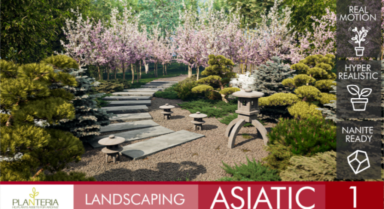Landscaping Asiatic 1