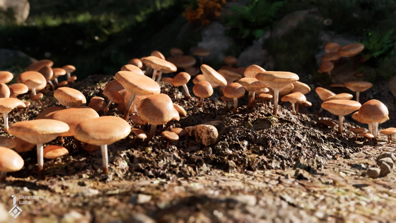 Forest Fungi – Mushroom Pack asset