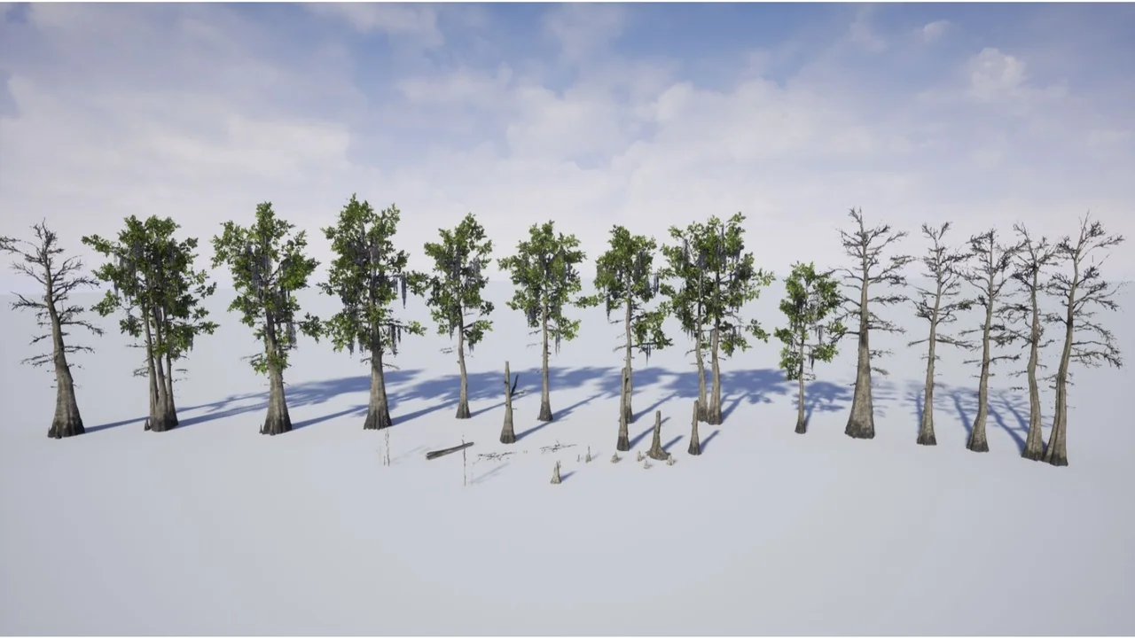 Bald Cypress Swamp asset