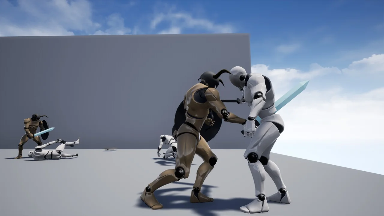 Sword and Shield Anims asset