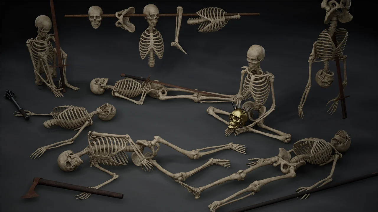 Skeleton Bones asset