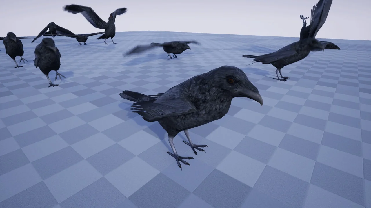 ANIMAL VARIETY PACK asset