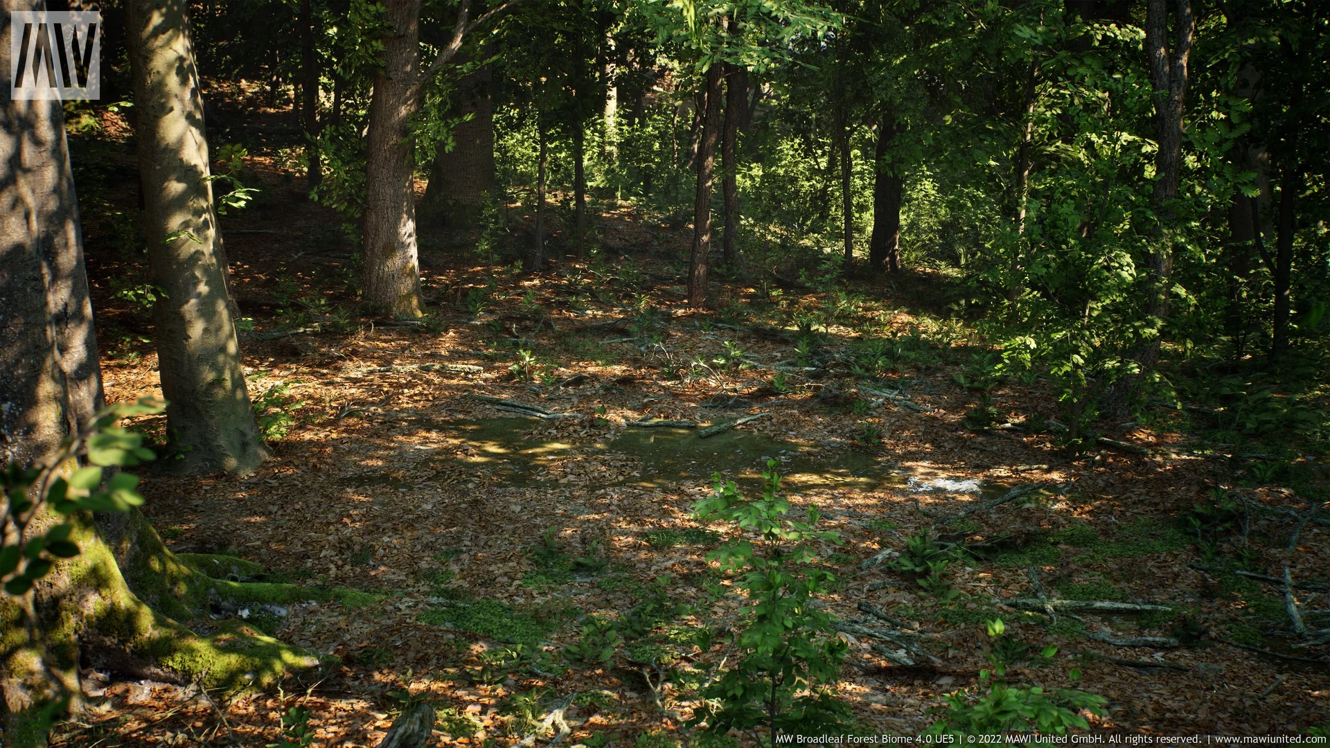 MW Broadleaf Forest Trees Biome asset