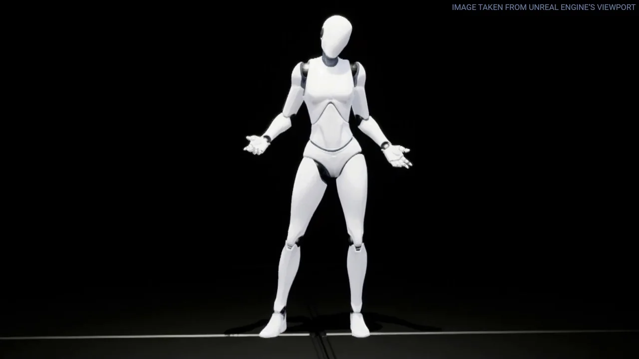 Female Interaction Animation Pack asset