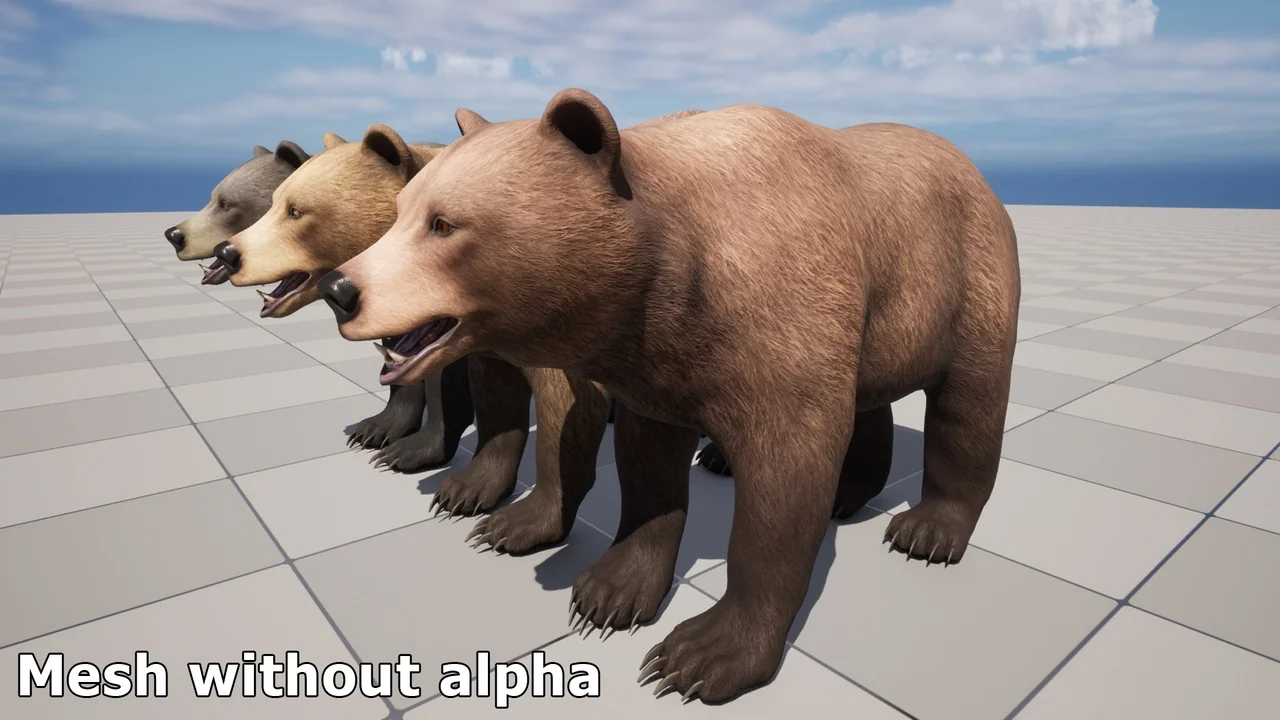 Bear – Female asset