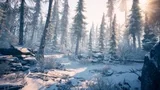 Winter Environment – Nature Pack asset