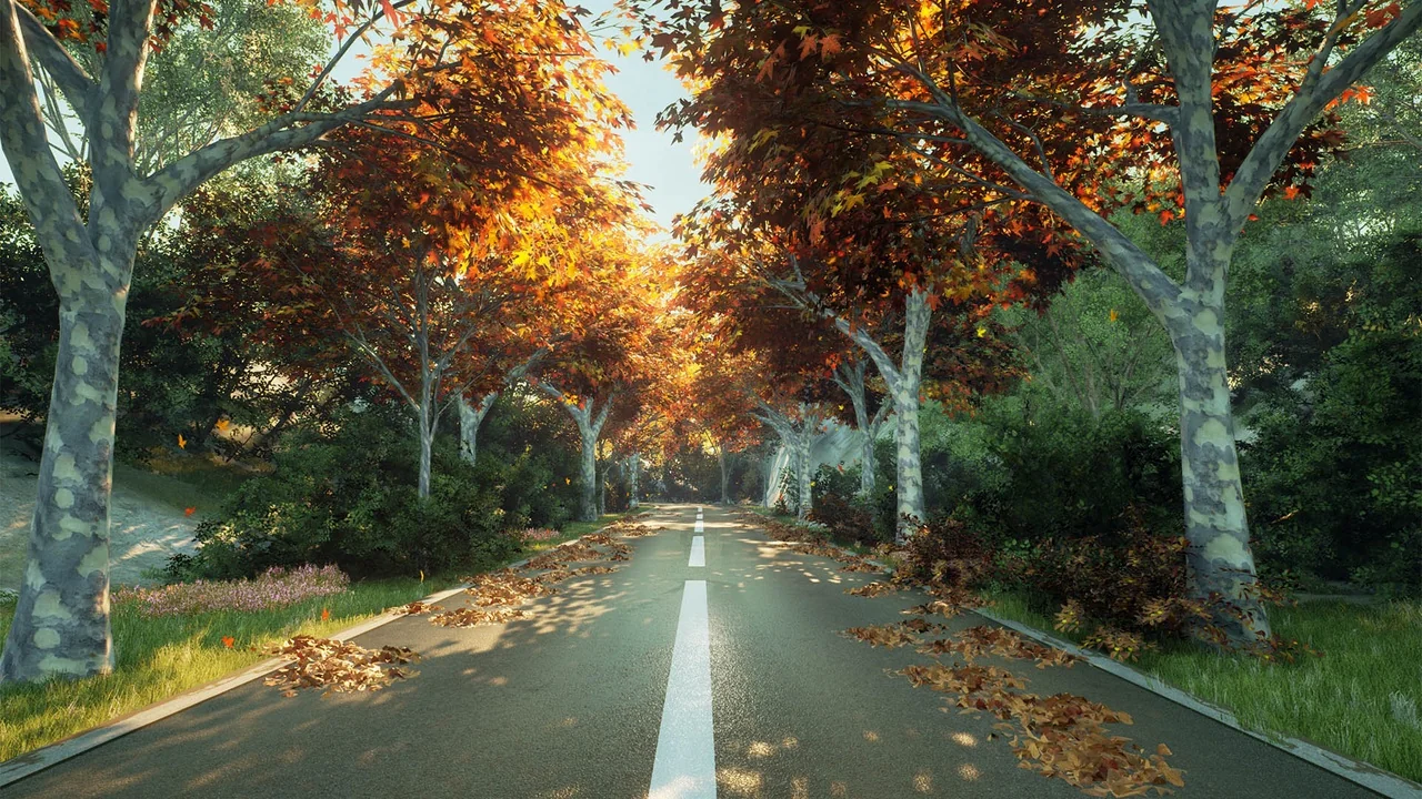 XBH TREE Vol. 1 asset