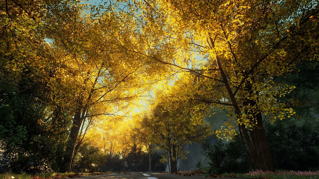 XBH TREE Vol. 1 asset