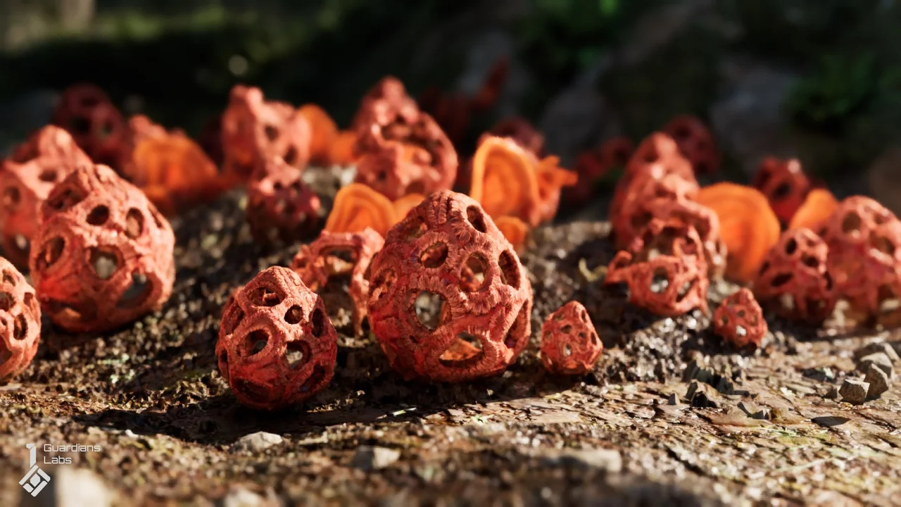 Forest Fungi – Mushroom Pack asset