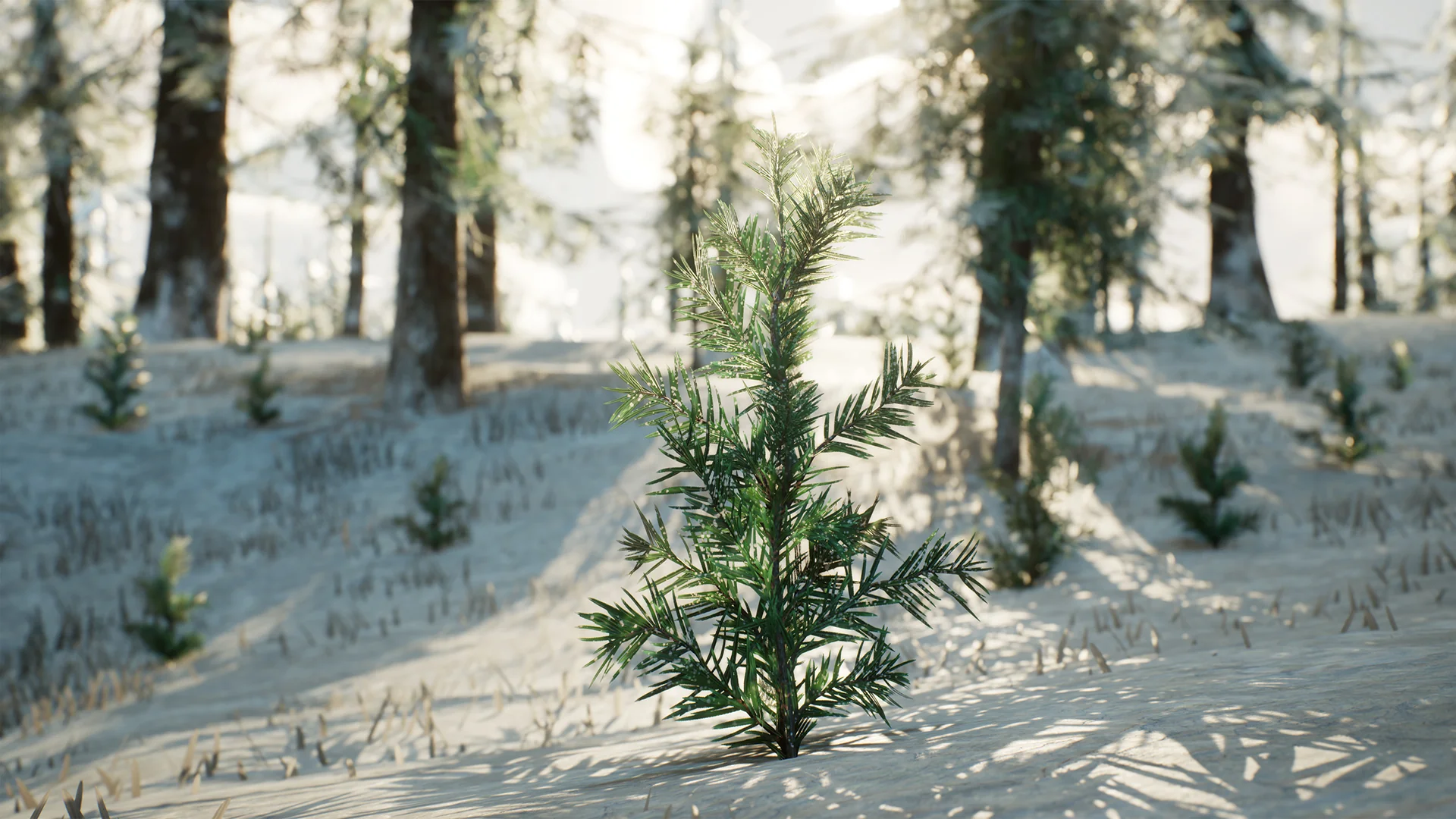 Stylized Trees Pack 2