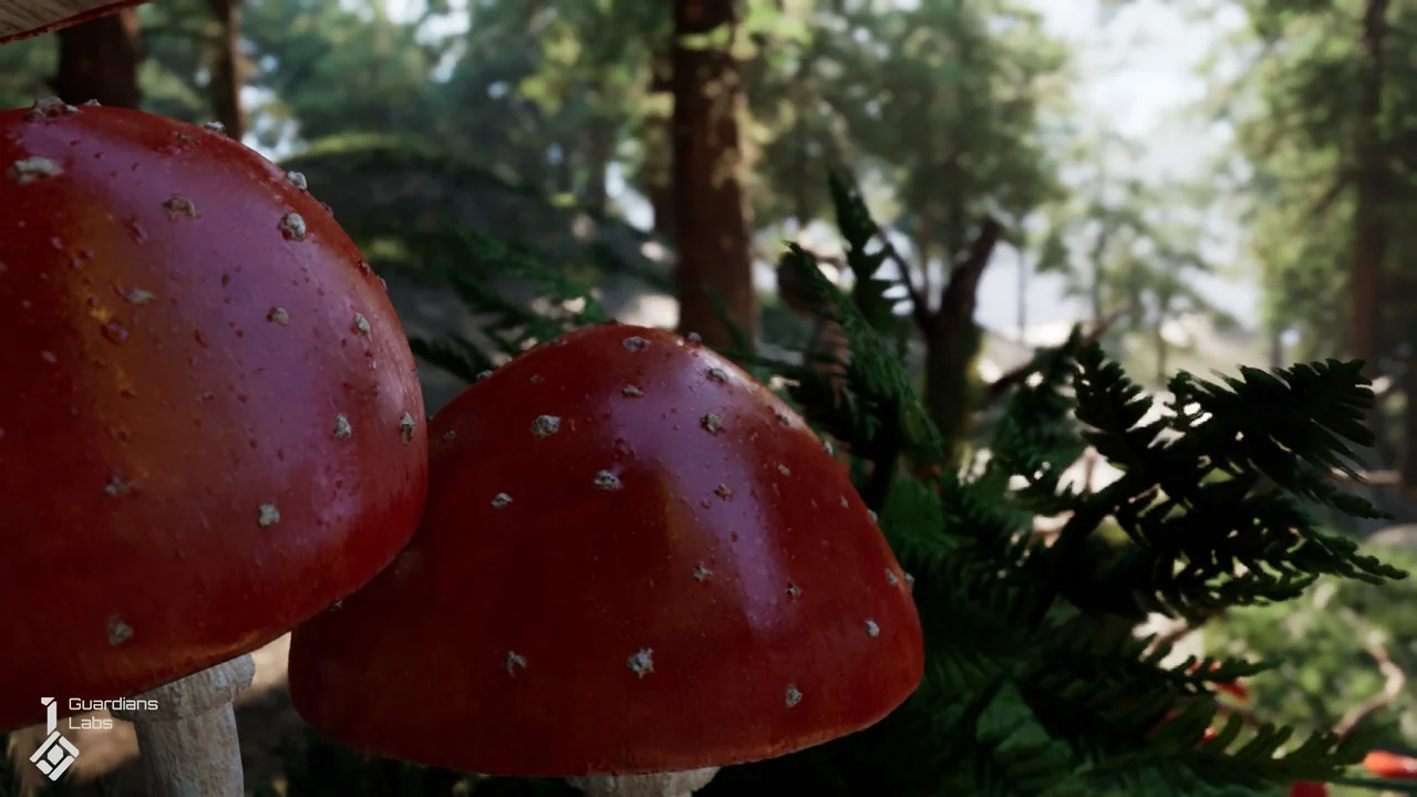 Forest Fungi – Mushroom Pack asset