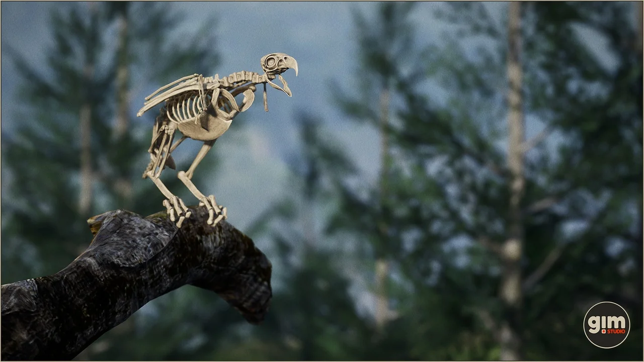 Animalia – Bald and Golden Eagle asset