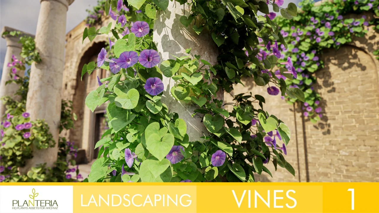 Livingroom Vol. 1 by Unimodels asset