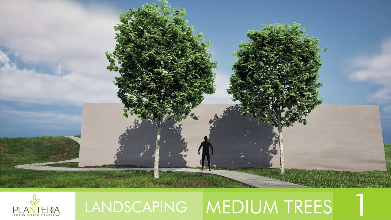 Landscaping Medium Trees Vol. 1 asset