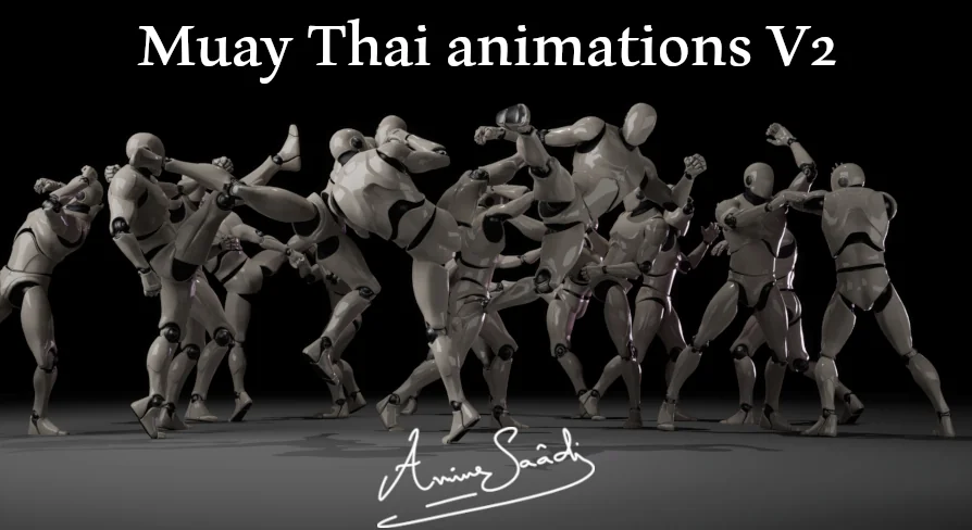 Combat animations - Kickboxing and Muay Thai V2