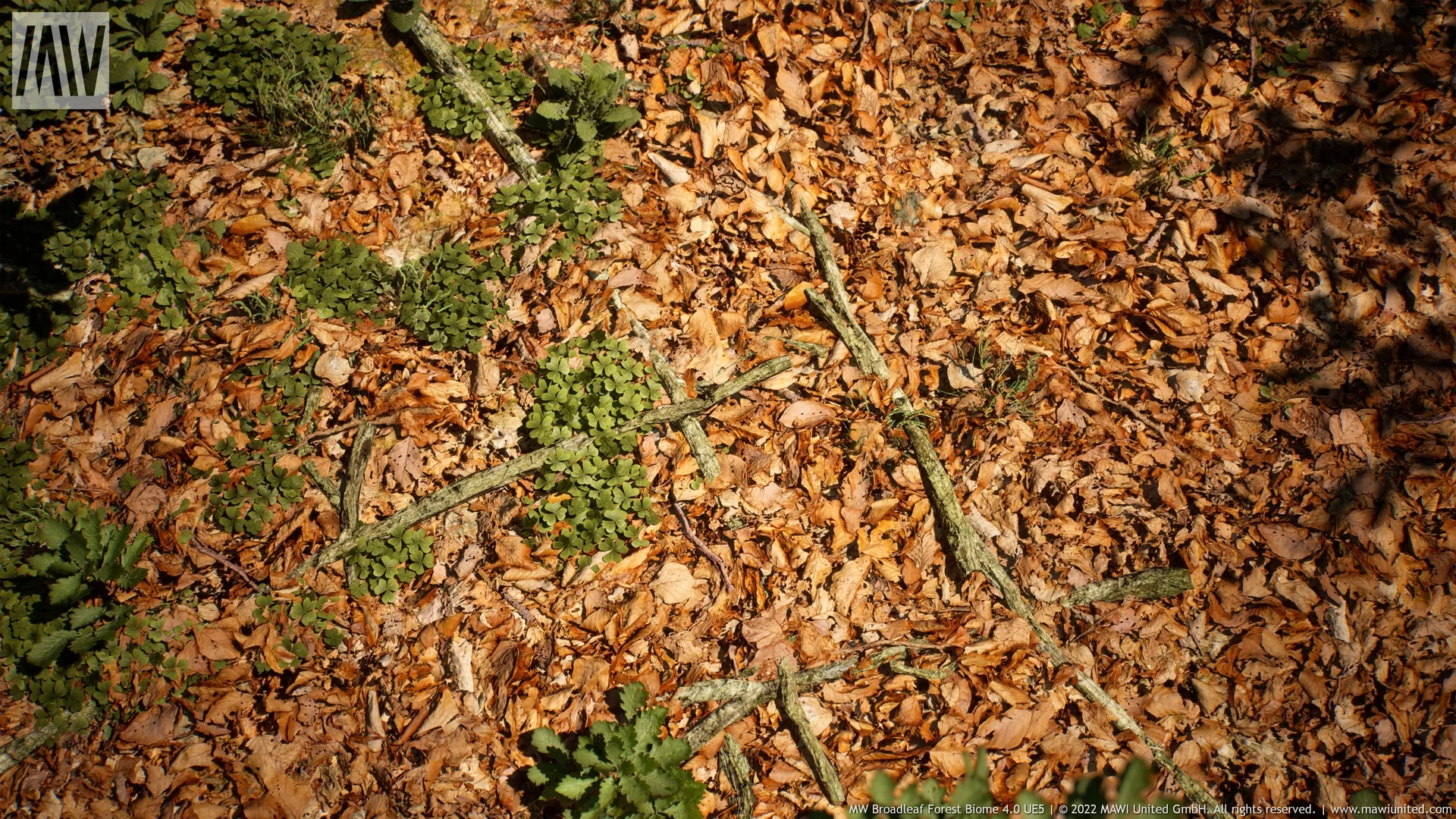 MW Broadleaf Forest Trees Biome asset