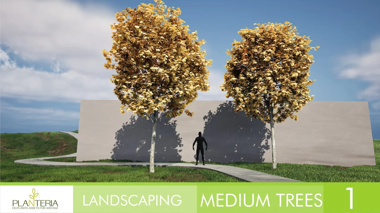 Landscaping Medium Trees Vol. 1 asset