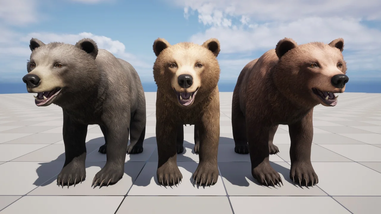 Bear – Female asset