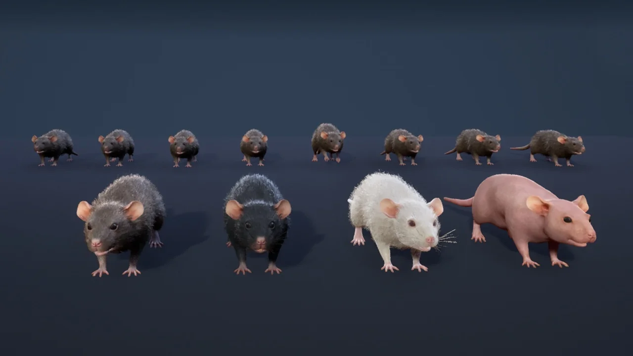 Mouse asset
