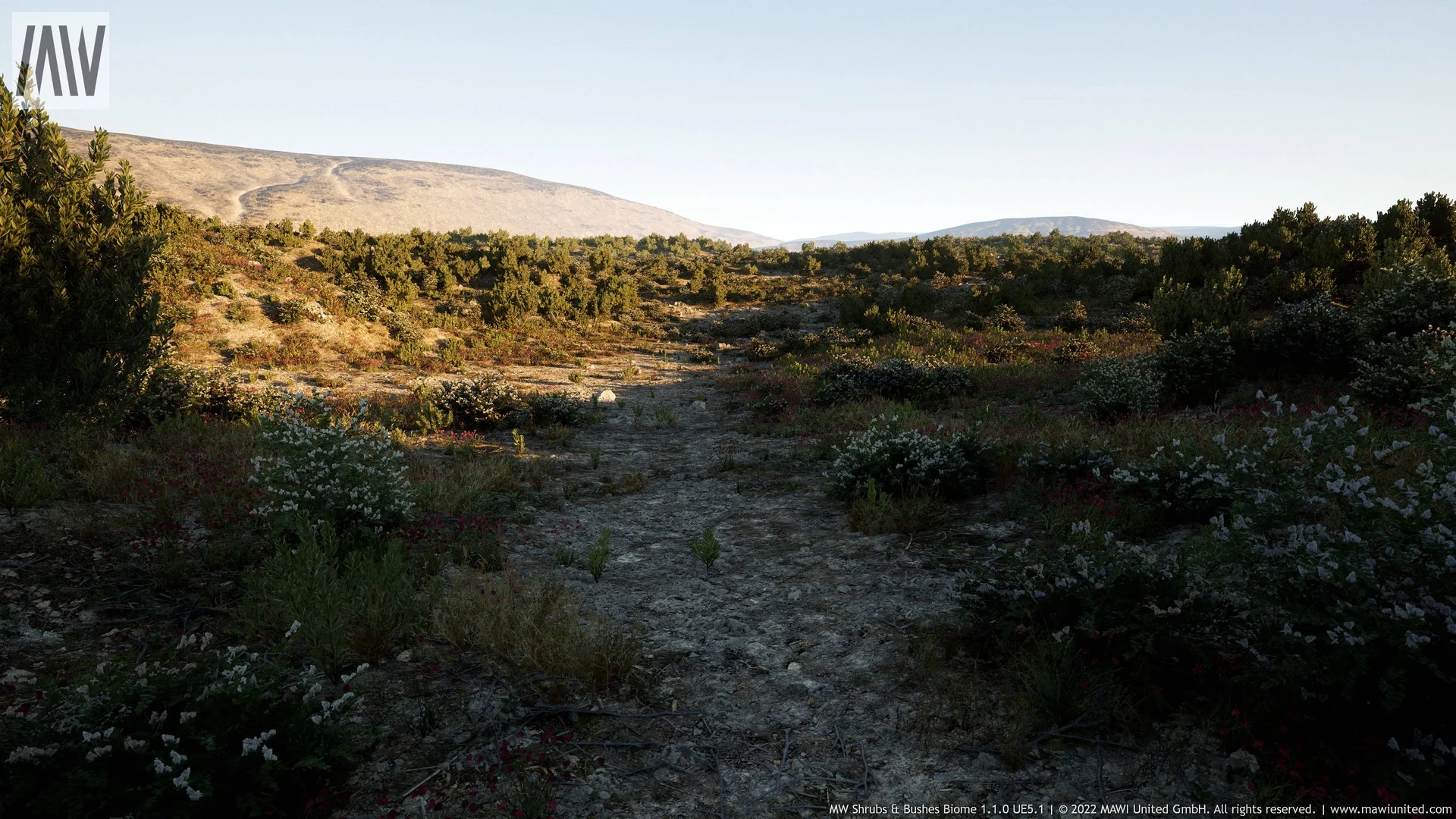 MW Shrubs & Bushes Biome asset