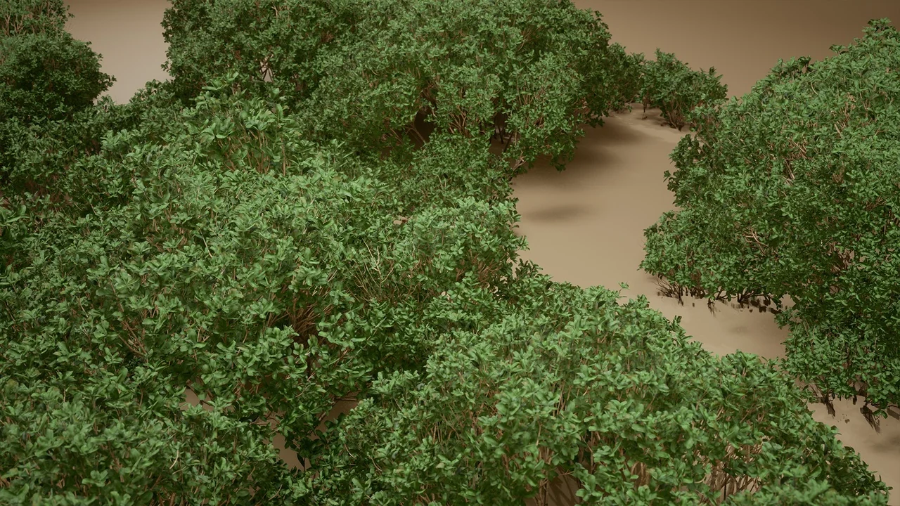 Foliage VOL.9 – Coyote Bushes (Nanite and Low Poly) asset