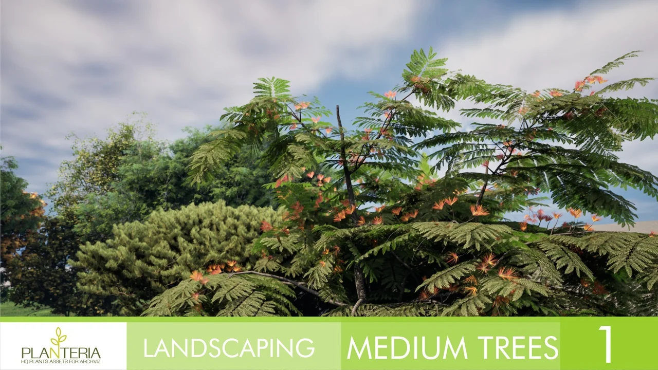 Landscaping Medium Trees Vol. 1 asset