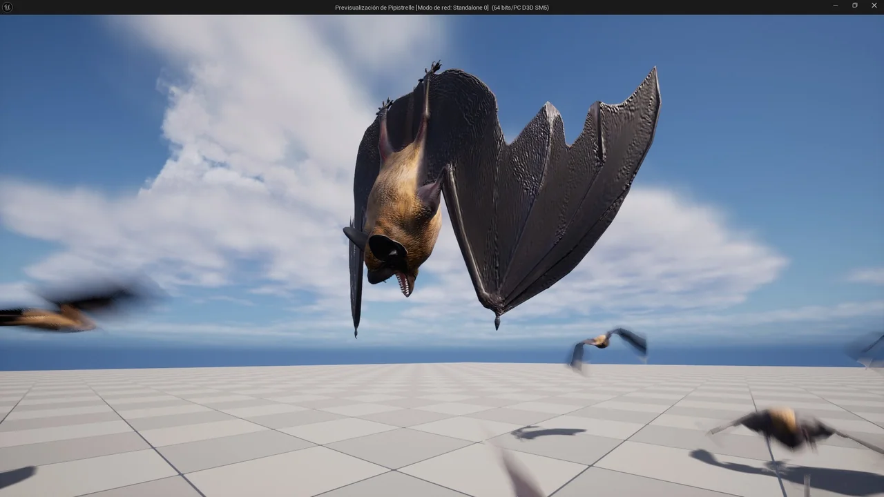 Common Pipistrelle Bat asset