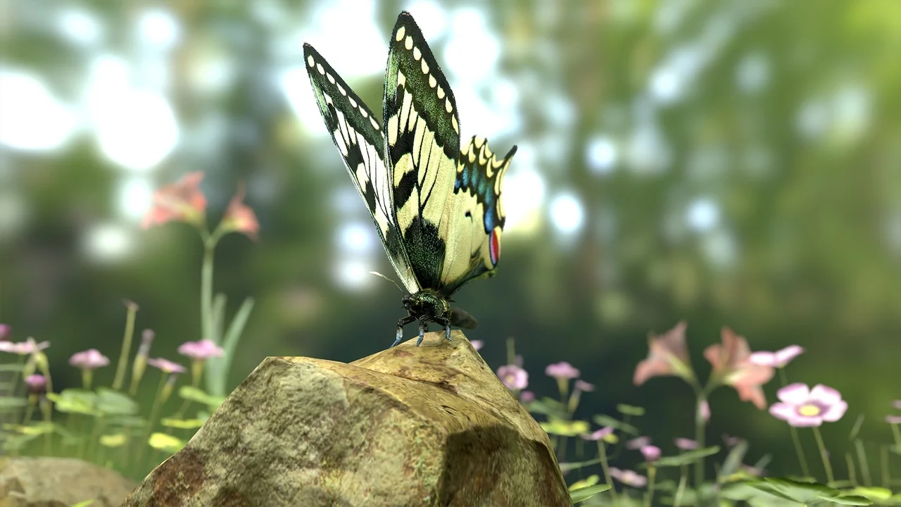 Butterflies Collection (BP, Niagara + AI) asset