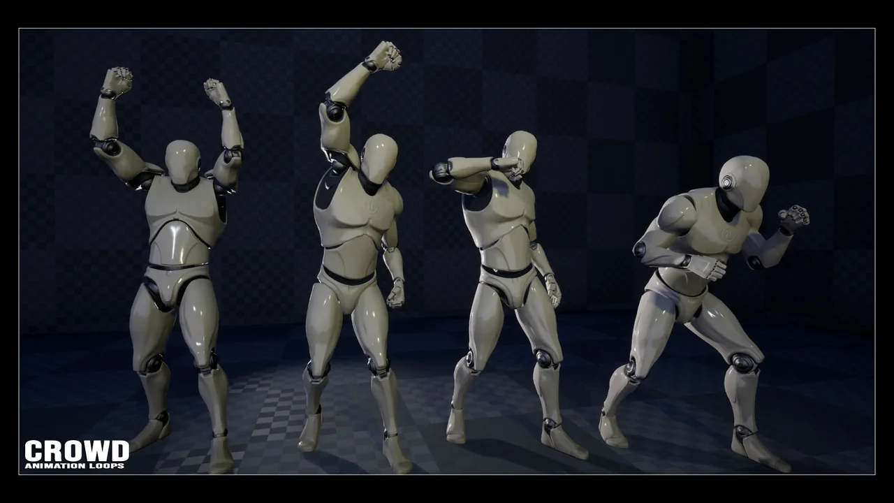 Crowd Animation Loops asset
