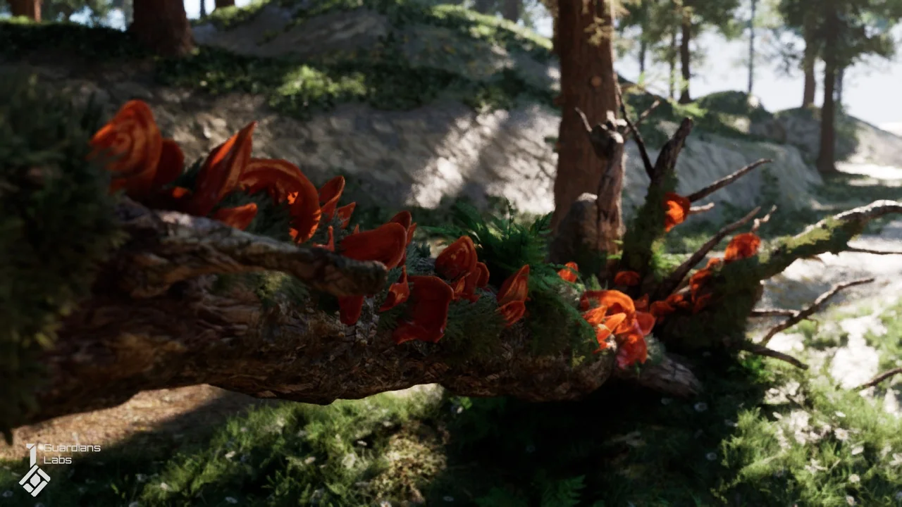 Forest Fungi – Mushroom Pack asset