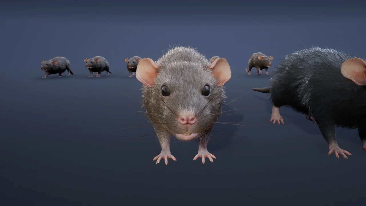 Mouse asset