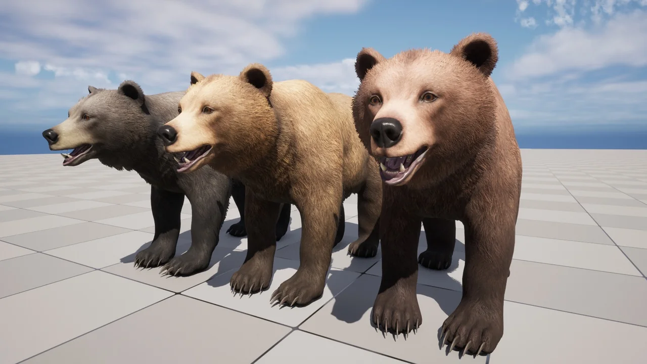 Bear – Female asset