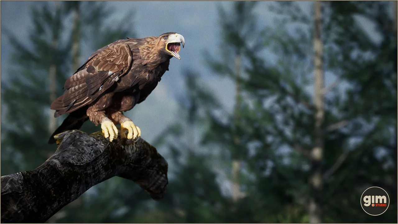 Animalia – Bald and Golden Eagle asset